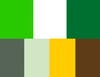  Imagem do site Sicredi 