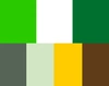 Imagem do site Sicredi 