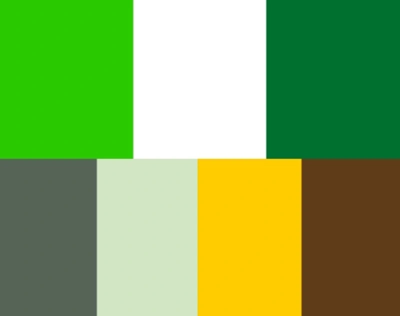  Imagem do site Sicredi 