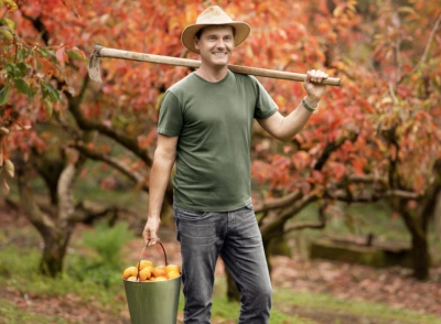  Imagem do site Sicredi 