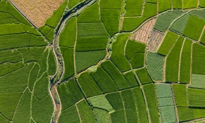  Imagem aérea de campo. 